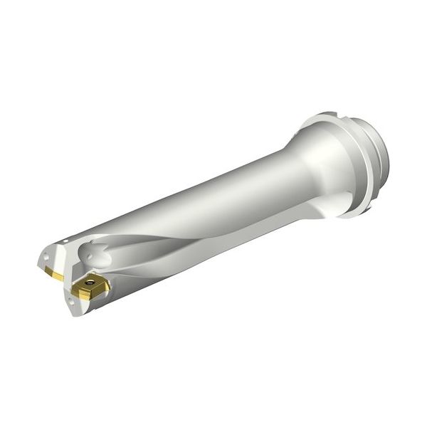 サンドビック SANDVIK コロドリルDS20刃先交換式ドリル(465) DS20-D4700DM50-04 1本 339-4180（直送品）