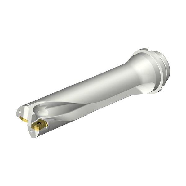 サンドビック SANDVIK コロドリルDS20刃先交換式ドリル(465) DS20-D4900DM50-04 1本 339-0978（直送品）