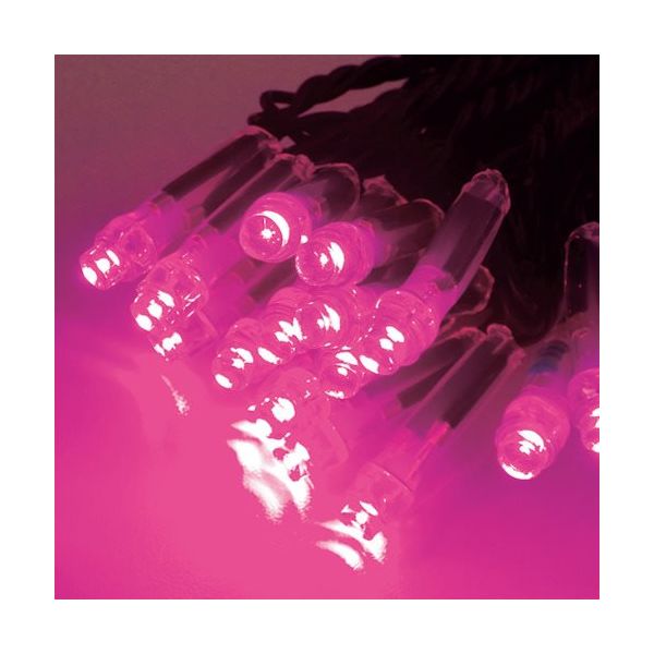 トライト LEDイルミネーション パッションローズ(拡散型) CSBPR1-100-100P/2 1セット(24本) 423-5387（直送品）