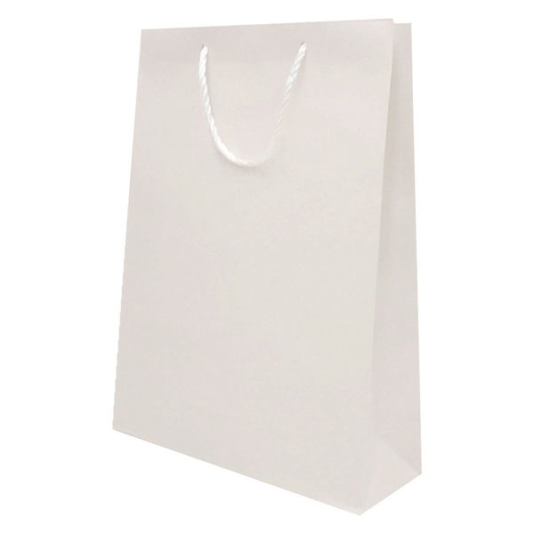 マツシロ 無地手提げ紙袋 NO.2白 10枚セット 62SK2 1セット（直送品）