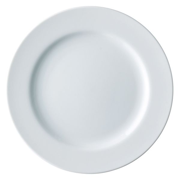 みやび街道　洋食器大皿 スーパーウルトラ（白磁）　１０吋皿  [ 2個入 ]　mkd-69803261　[ 2個入 ]（直送品）