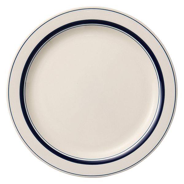 みやび街道　洋食器大皿 ボーダー　１０吋ディナー（ブルー）  [ 2個入 ]　mkd-74374253　[ 2個入 ]（直送品）