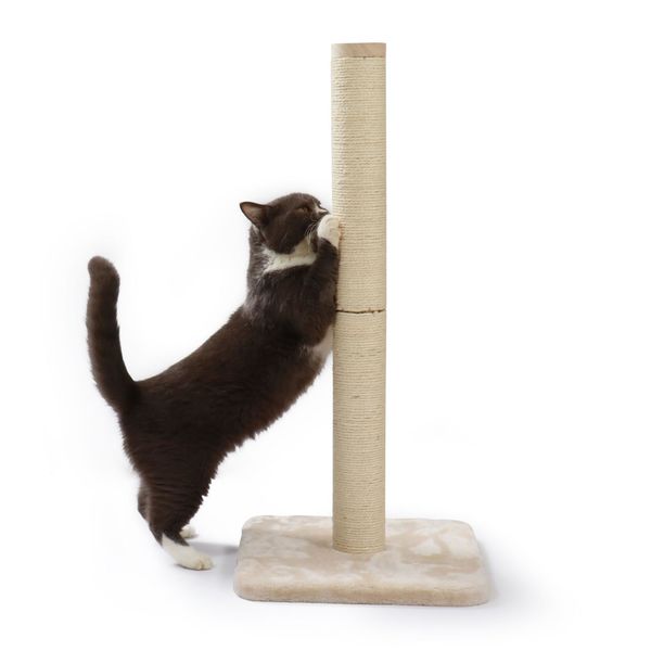 バリバリつめとぎポール L 麻 1個 猫壱 爪とぎ - アスクル バリバリつめとぎポール L 麻 1個 猫壱 爪とぎ - アスクル