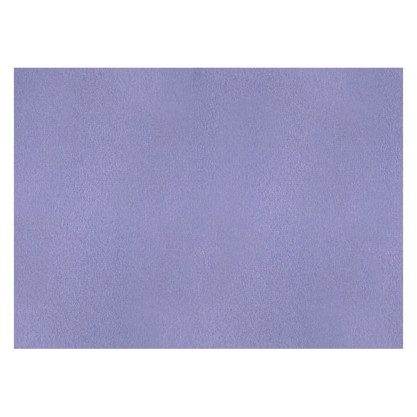 北越コーポレーション 色画用紙 やよいカラー 四切 ふじいろ 410-206 1セット（50枚：10枚×5）