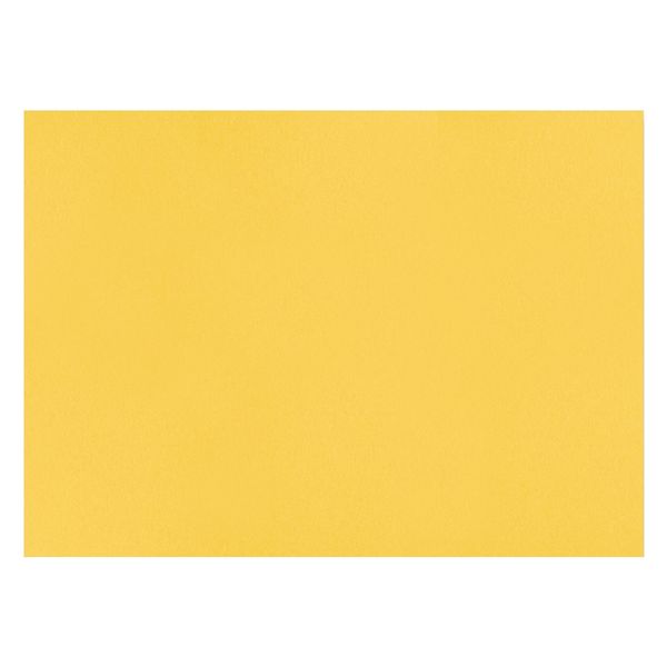 北越コーポレーション 色画用紙 やよいカラー 四切 うすきいろ 410-106 1セット（50枚：10枚×5）
