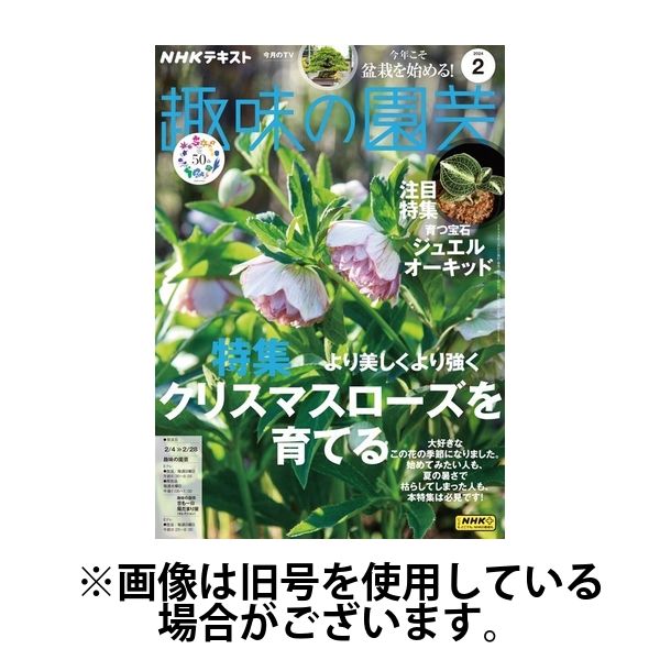 NHK 趣味の園芸 2024/06/21発売号から1年(12冊)（直送品）