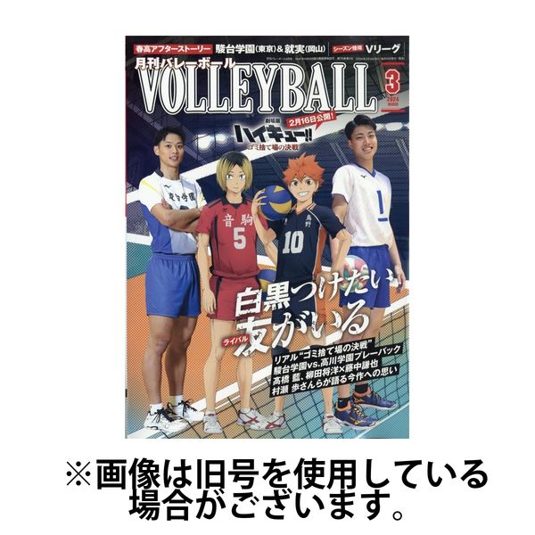 月刊バレーボール 41冊セット 2003年12冊 + 2004年12冊 +2005年12冊 + 臨時増刊 5冊 日本文化出版 棚は｜バレーボール