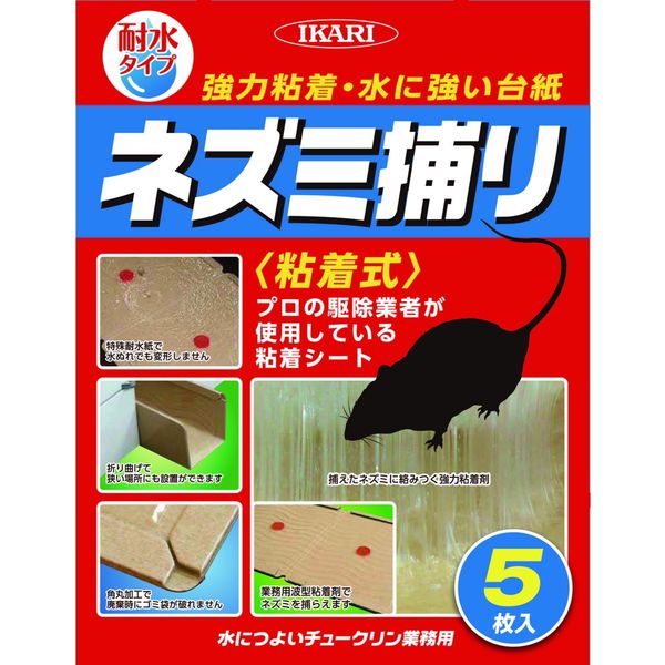 iceledy夏に向けていかがでしょうか？(1回使用品消毒済) iceledy夏に向けていかがでしょうか？(1回使用品消毒済)