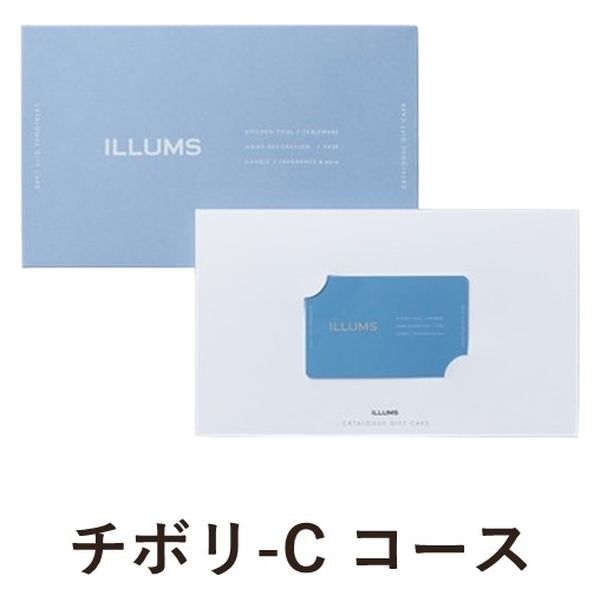 大和 〈チボリ-C〉 ILLUMS CARD GIFT YM568 1個（直送品）