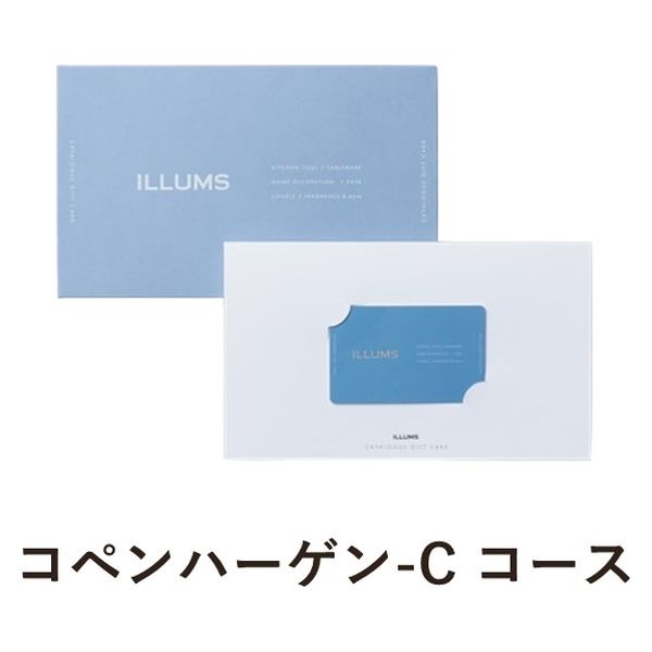 大和 〈コペンハーゲン-C〉 ILLUMS CARD GIFT YM569 1個（直送品）