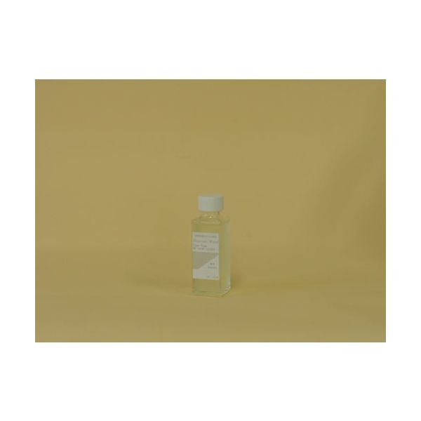 ビアンコジャパン ビアンコ ビアンコートW 無色(CLEAR)100ml BC-101W 1本 554-5789（直送品）