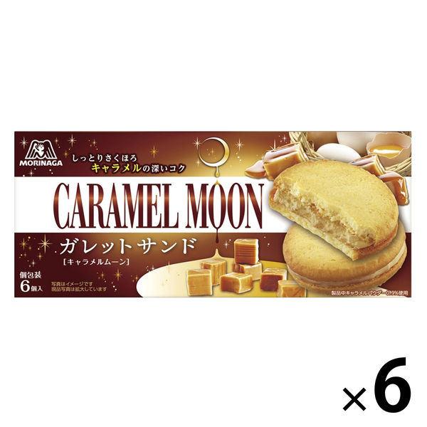 ⑫お菓子まとめ売り(ピザポテトBIG・ブランチュール・レモンガレットサンド) ⑫お菓子まとめ売り(ピザポテトBIG・ブランチュール・レモン