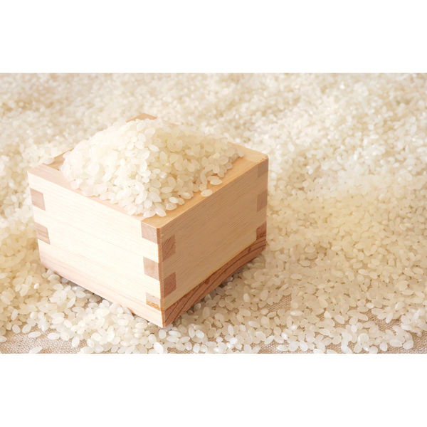 サニーフーズ 山形県産 特別栽培米 つや姫 RE-270P1A 1セット（直送品）