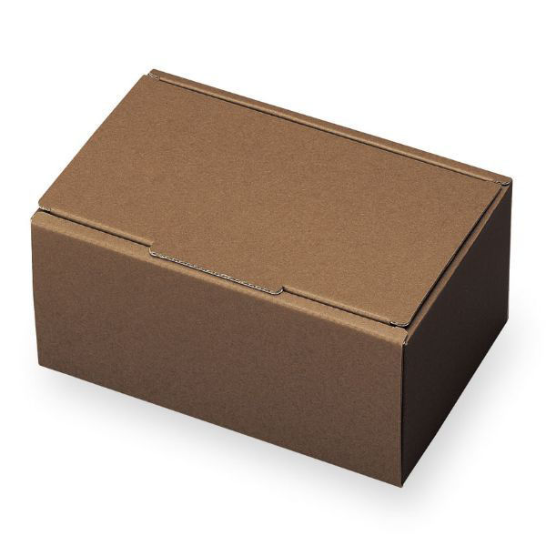 石渡 ギフト箱 チョコブラウニー SS 08930 1ケース(100個)（直送品）
