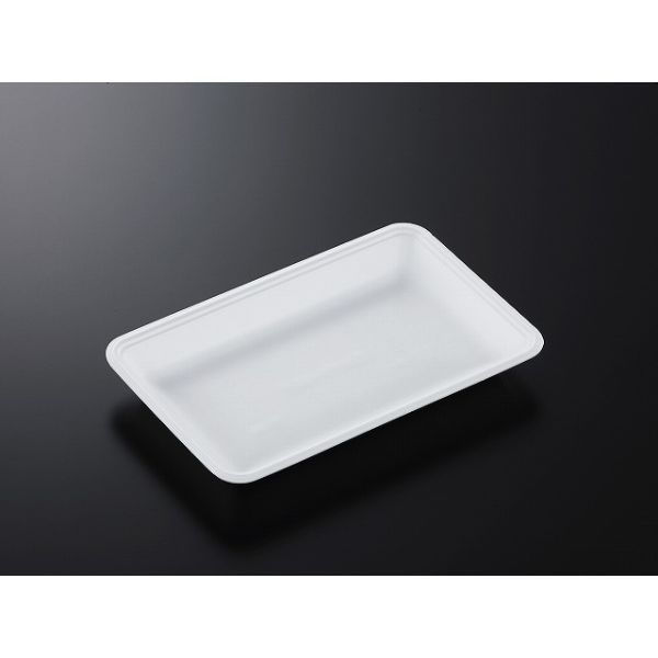 中央化学 発泡トレー CN 25-16F (L) 235812 1ケース(1200個(100個×12))（直送品）