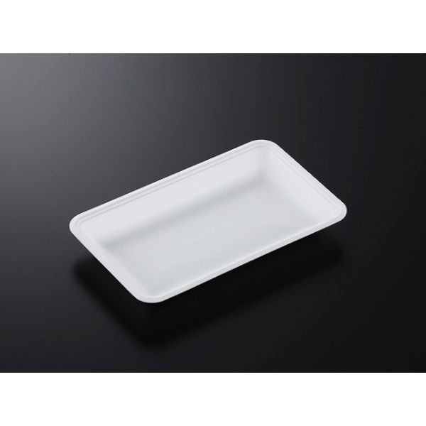 中央化学 発泡トレー CN 25-15F (L) 393314 1ケース(1200個(100個×12))（直送品）