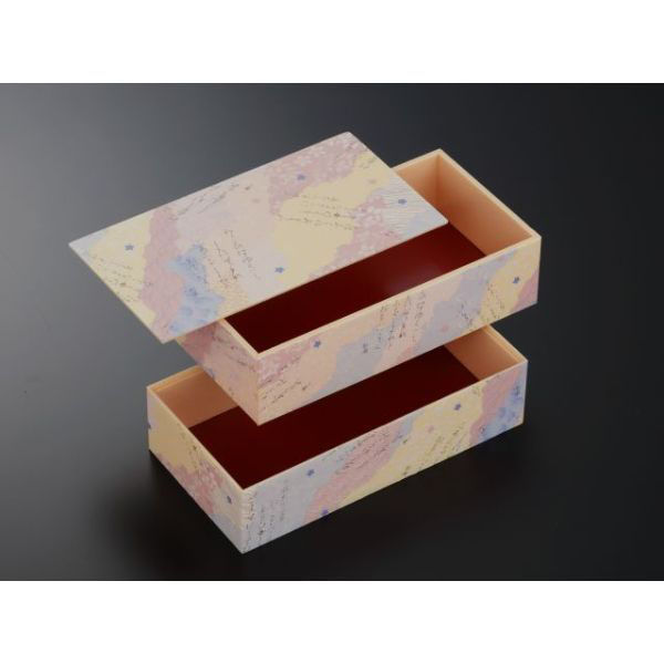 中央化学 折箱 LB-N2L 哥仙 共蓋付 984062 1ケース(144個(6個×24))（直送品）