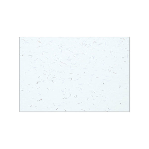 アーテック テーブルマット 尺三まっと 吉兆 水色 (100枚入) KC-05 1ケース(100個(1個×100))（直送品）