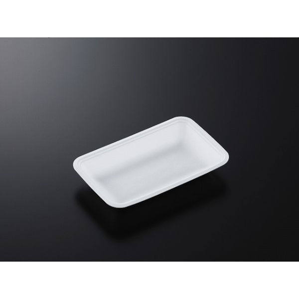 中央化学 発泡トレー CN 20-12F (L) 178244 1ケース(2400個(100個×24))（直送品）