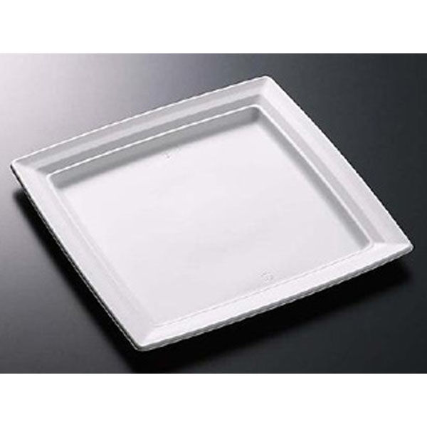 中央化学 軽食容器 CT 沙楽 K30-30 W 身 21873 1ケース(160個(20個×（直送品）