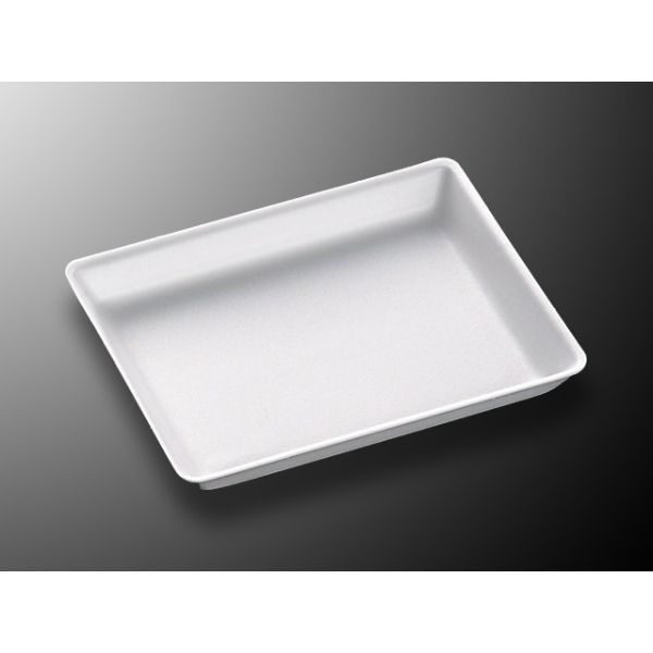 中央化学 発泡トレー C・FS-B5E (LL) 344150 1ケース(1200個(50個×24))（直送品）