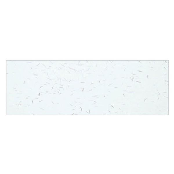 アーテック テーブルマット おてもとまっと 大 吉兆 水色 (100枚入) KC-15 1ケース(100個(1個×100))（直送品）