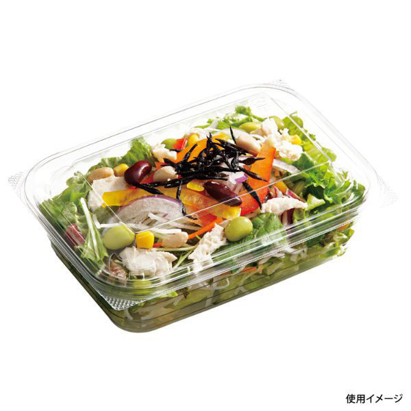 中央化学 惣菜容器 C-AP FVS 18-13 身 169375 1ケース(600個(50個×12))（直送品）