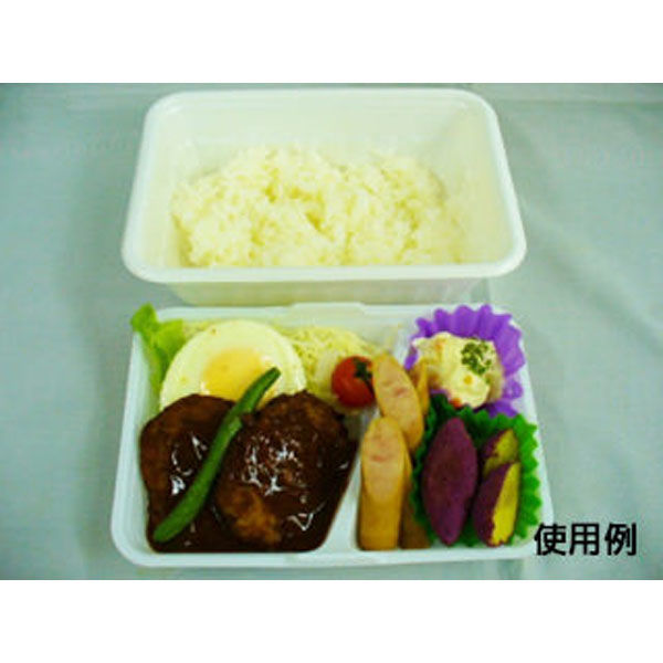 中央化学 弁当容器 CF ランチBOX-2 身 138628 1ケース(800個(50個×16))（直送品）