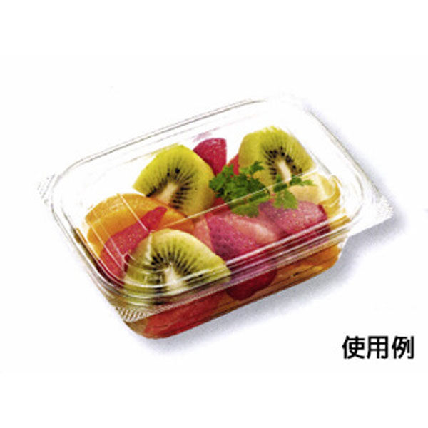 中央化学 惣菜容器 C-AP FVS 15-11A 本体 178517 1ケース(1000個(50個×20))（直送品）