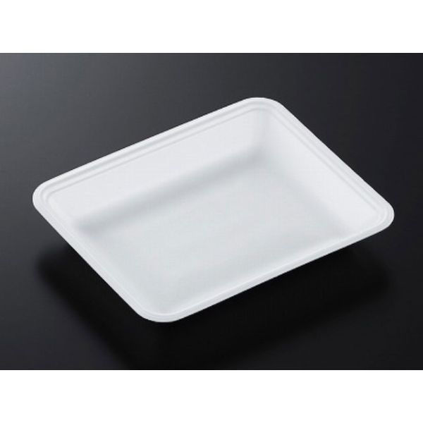 中央化学 発泡トレー CN 20-16F (L) 177246 1ケース(1600個(100個×16))（直送品）