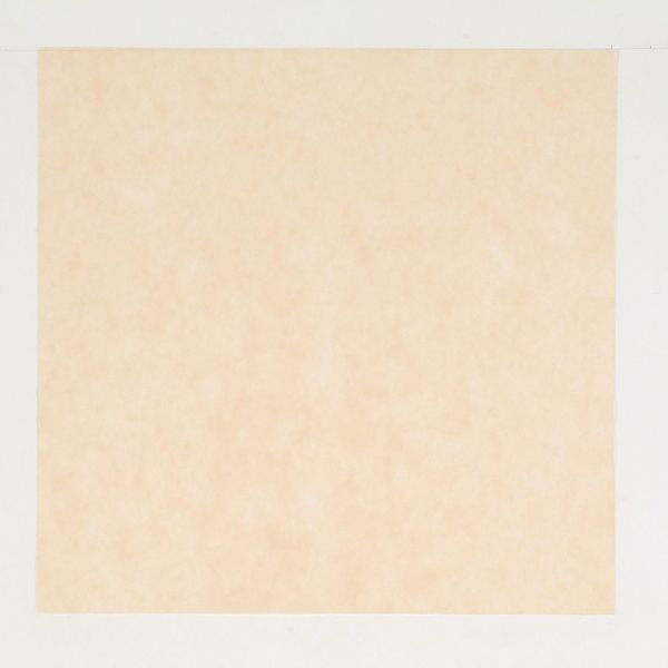 東京メディカル 不織布 風呂敷 パステルカラー ベージュ 66×66cm 1600401 1袋(100個)（直送品）