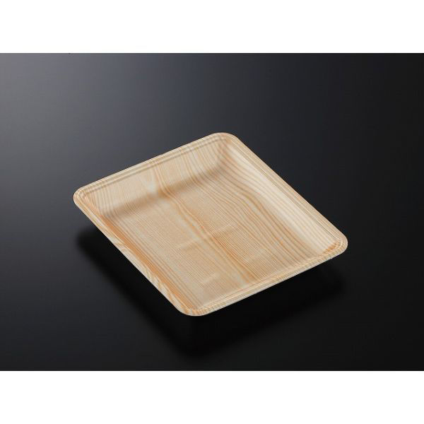 中央化学 発泡トレー CN 20-23FF 木曽内 (L) 230169 1袋(100個)（直送品）