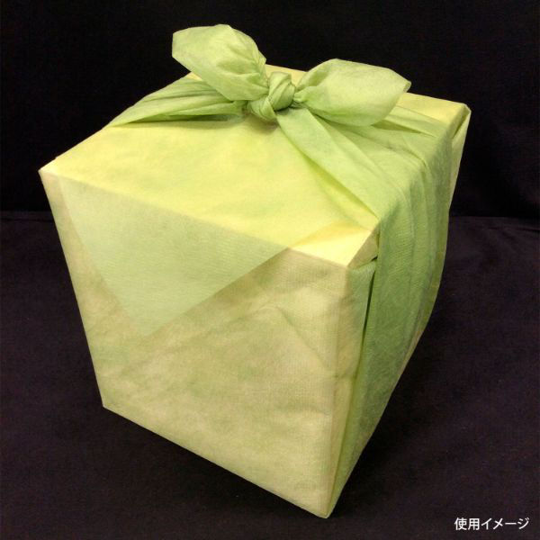 東京メディカル 不織布 風呂敷 パステルカラー風呂敷66角ダークグリーン 00497853 1ケース(1600個(100個×16))（直送品）