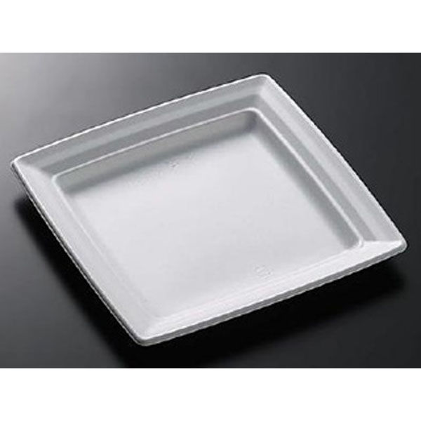 中央化学 軽食容器 CT 沙楽 K23-23 W 身 21220 1袋(50個)（直送品）