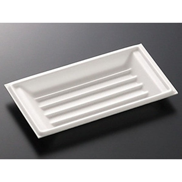 中央化学 発泡トレー 舟皿 大 (500) 125641 1ケース(3000個(500個×6))（直送品）