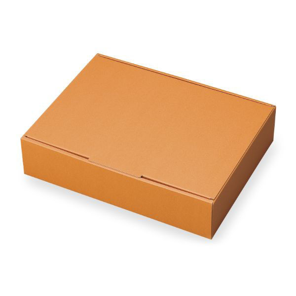 石渡 ギフト箱 ブラウニー L 04155 1ケース(100個)（直送品）