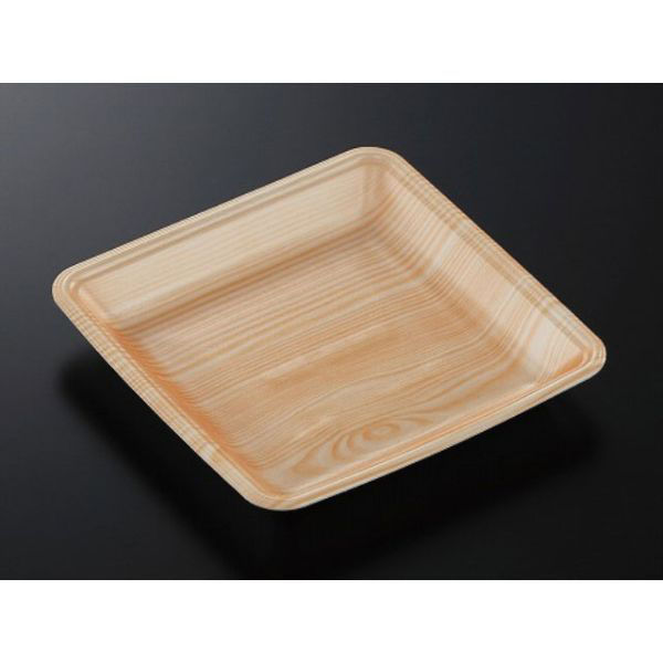 中央化学 発泡トレー CN 20-20FF 木曽内 (L) 229641 1ケース(1200個(100個×12))（直送品）