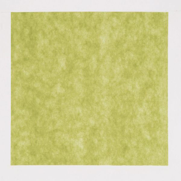 東京メディカル 不織布 風呂敷 パステルカラー ダークグリーン 90×90cm 1600599 1ケース(800個(100個×8))（直送品）