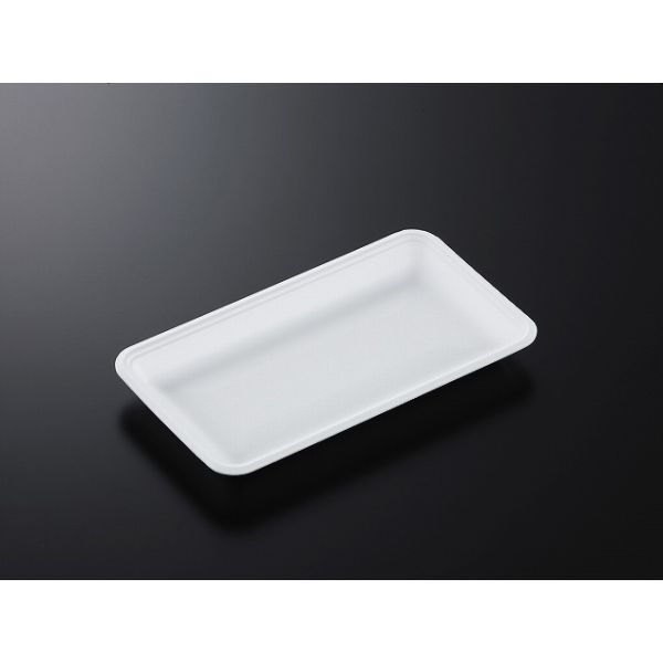 中央化学 発泡トレー CN 25-14E (L) 178657 1ケース(1500個(100個×15))（直送品）