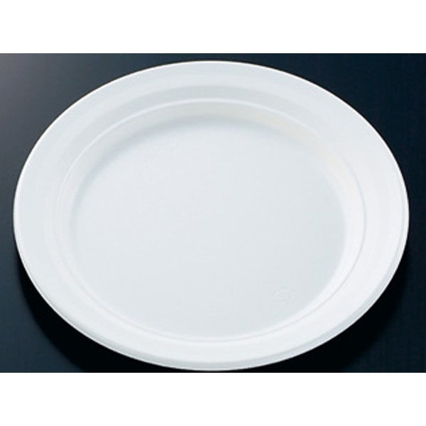 中央化学 惣菜容器 CT 沙楽 M24 W 身 213272 1ケース(400個(50個×（直送品）