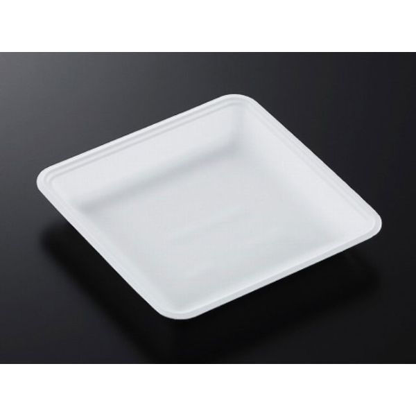 中央化学 発泡トレー CN 20-20FF (L) 393264 1ケース(1200個(100個×12))（直送品）