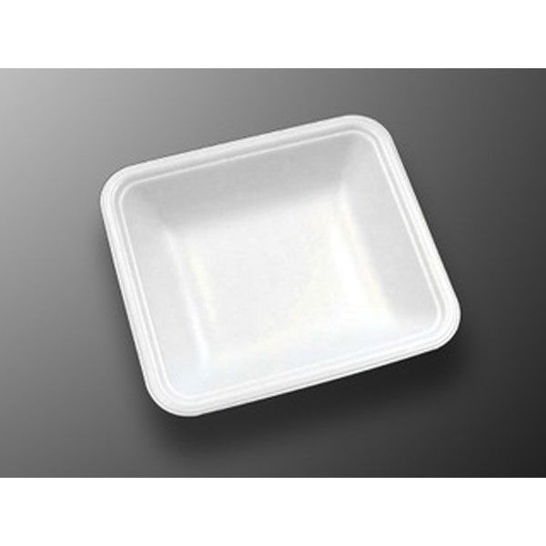 中央化学 発泡トレー CN 15-13F (L) 178137 1ケース(3000個(100個×30))（直送品）