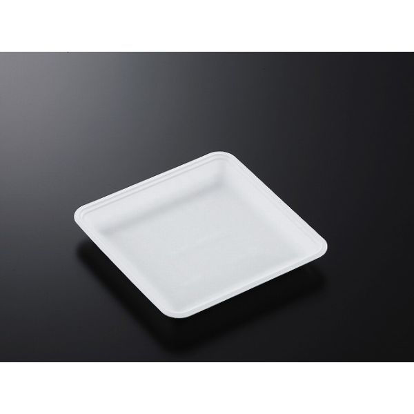 中央化学 発泡トレー CN 20-20EE (L) 229138 1袋(100個)（直送品）