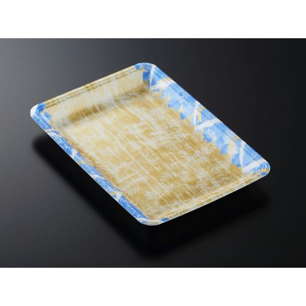 中央化学 発泡トレー CN 20-28F 四織B内 349910 1ケース(900個(100個×9))（直送品）