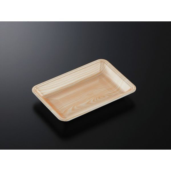 中央化学 発泡トレー CN 22-15F 木曽内 (L) 231225 1ケース(1600個(100個×16))（直送品）