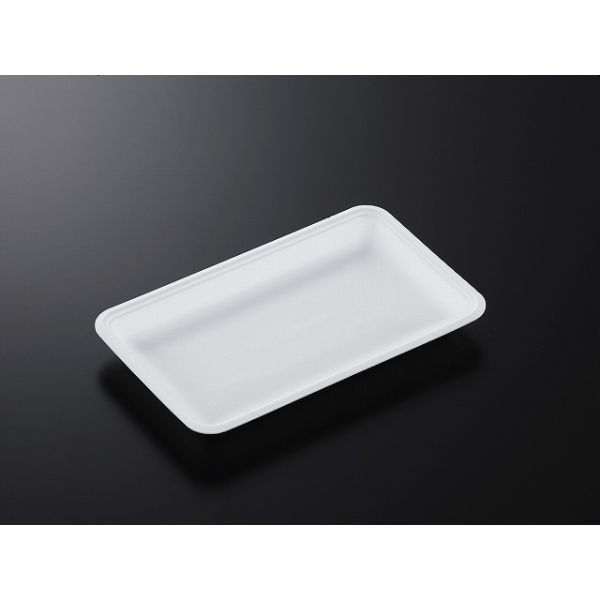 中央化学 発泡トレー CN 25-15E (L) 178772 1袋(100個)（直送品）