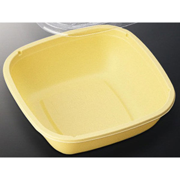 中央化学 どんぶり容器 CT コンビニ丼 IV (ボ) T 100925 1袋(50個)（直送品）