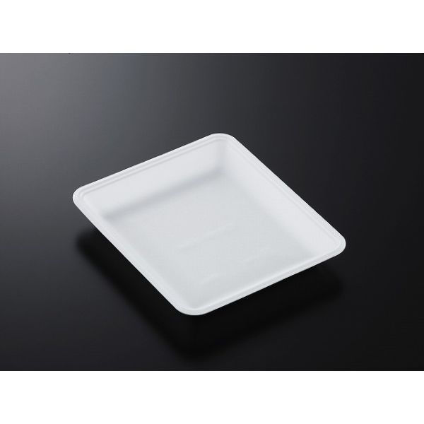 中央化学 発泡トレー CN 20-23FF (L) 178434 1ケース(900個(100個×9))（直送品）