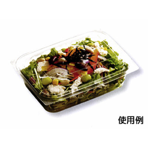 中央化学 惣菜容器 C-AP FVS 18-13A 身 178632 1ケース(600個(50個×12))（直送品）