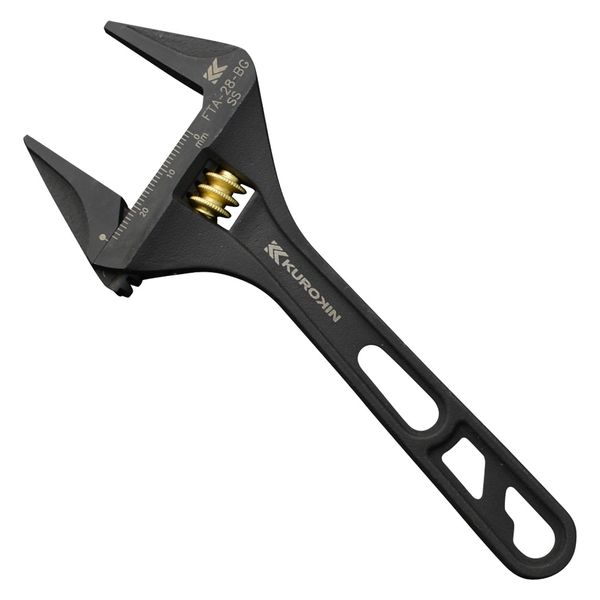 フシギバナ P. 'Shankha' メタリックな胞子葉に縦カールの個性派ビカク 子株